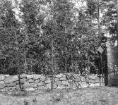 Malung. Tyngsjö kapellag. Gamla smidda gravvårdar på Tyngsjö kyrkogård.


