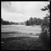 ELLA GÅRD
TOMTOMRÅDE