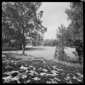 ELLA GÅRD
TOMTOMRÅDE