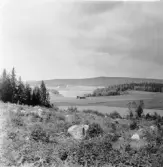 Hedemora. Djusa. Utsikt mot Djusaberget mot Stora Skedvi.

