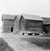 Hedemora. Svinö. Hampus snickarstuga. Salins uthus.

