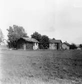 Hedemora. Ekevallen. Guntjärn.

