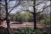 Skånegården. Anläggande av trädgård. Vår