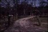 Skånegården. Anläggande av trädgård. Vår
