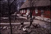 Skånegården. Anläggande av trädgård. Vår