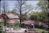 Skånegården. Anläggande av trädgård. Vår