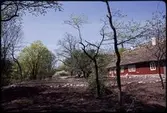 Skånegården. Anläggande av trädgård. Vår