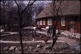 Skånegården. Anläggande av trädgård. Vår