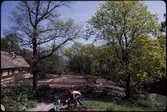 Skånegården. Anläggande av trädgård. Vår