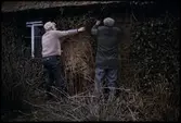 Skåne. Skånegården. Harjagers hd. Hög sn. Hög 18:1. Boningshus. Exteriör