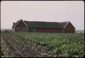 Skåne. Skånegården. Harjagers hd. Hög sn. Hög 18:1