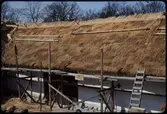Skåne. Skånegården. Uppförandet
