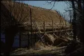 Skåne. Skånegården. Uppförandet