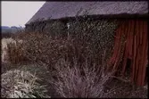 Skåne. Skånegården. Harjagers hd. Hög sn. Hög 18:1. Trädgård