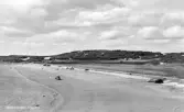 Vykort, 