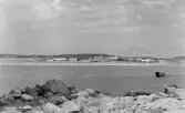 Vykort, 