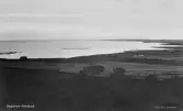 Vykort, 