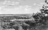 Vykort, 