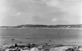 Vykort, 