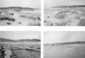 Flermotivsvykort med fyra vyer från Steninge strand. Två vyer söderut respektive norrut över strand och sanddyner med sommarstrugor och solbadare med parasoll. En bild visar badlivet på piren, anlagd av Steninge glasbruk vars rester ses i bebyggelsen ovanför stranden. Den fjärde bilden visar en segelbåt förtöjd i vattnet med campingtält vid stranden i bakgrunden.