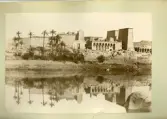Isis-templet på ön Philae, Egypten, 1891