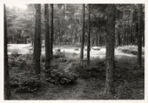 Hällristning Tegneby. Tanum 72:4, L1968:7457