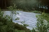Hällristning Litsleby. Tanum 75:1, L1968:7559.