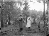 Slåttertid