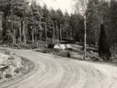 Hällristning Litsleby. Tanum 75:1, L1968:7559.