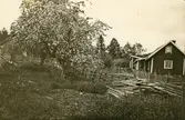 Backen, Lisö