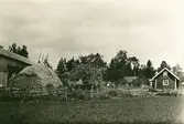 Backen, Lisö
