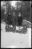 Grupp