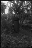 Ingeborg Sjöö