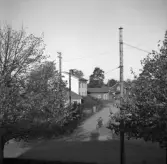 Bygata