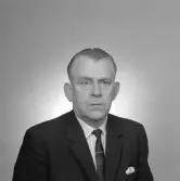 Gunnar Borg