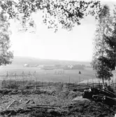 Stora Skedvi. Kasseby. Mårtens. Dalälven i förgrunden.

