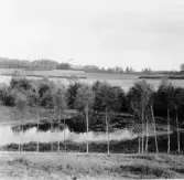 Stora Skedvi. Krafsbo. (Pingbo)

