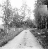 Stora Skedvi. Lövåsen. Väg.

