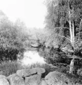 Stora Skedvi. Lövåsen. Bron.


