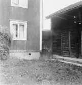 Stora Skedvi, Björnänget. Knuts i Björänget.

