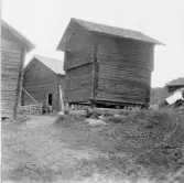 Stora Skedvi, Björnänget. Knuts i Björänget.

