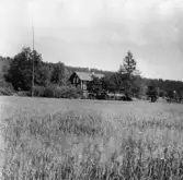 Stora Skedvi. Arkhyttan. Olers i (Hedemo)

