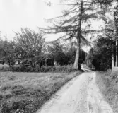 Stora Skedvi. Arkhyttan. Olers i (Hedemo)

