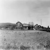 Stora Skedvi. Arkhyttan. Bondängs från Lövåsen.

