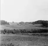 Stora Skedvi. Arkhyttan. Hässja.

