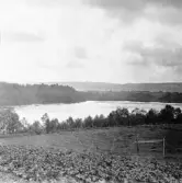 Stora Skedvi. Dalälven vid Färje, Västerby.

