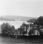 Stora Skedvi. Dalälven. Nedre forsen.

