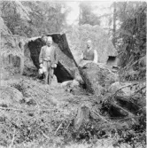 Stora Skedvi. Gränsstenen. Sigge och Olers vid gränsstenen SkedviGustafs.

