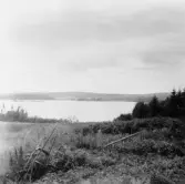 Stora Skedvi. Sjön Hyen.

