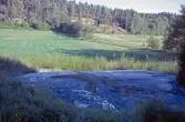 Hällristning Finntorp. Tanum 89:1, L1968:7100.